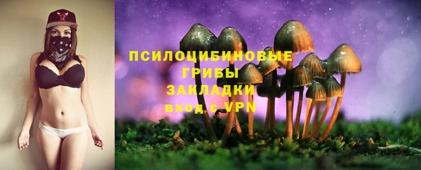 MESCALINE Алзамай
