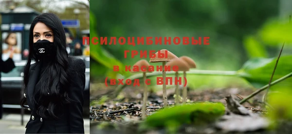 хмурый Алексин