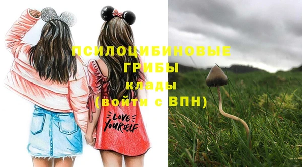 MESCALINE Алзамай