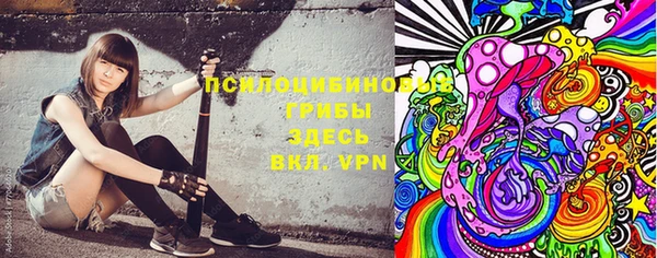 гашик Алексеевка