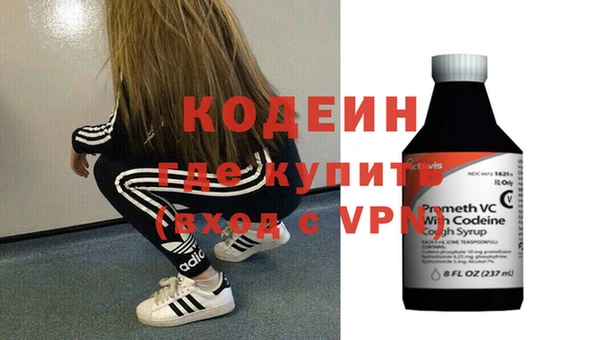 хмурый Алексин