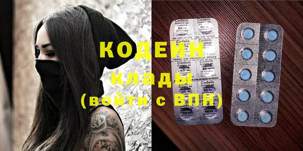 гашик Алексеевка
