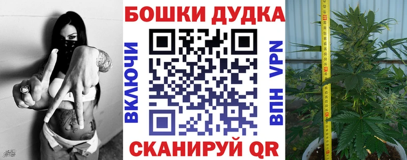 Канабис ГИДРОПОН Глазов